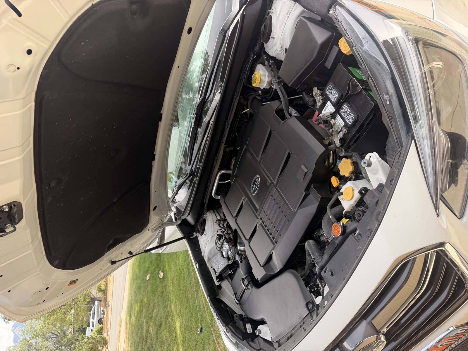 Clean engine bay of a white Subaru with the hood up